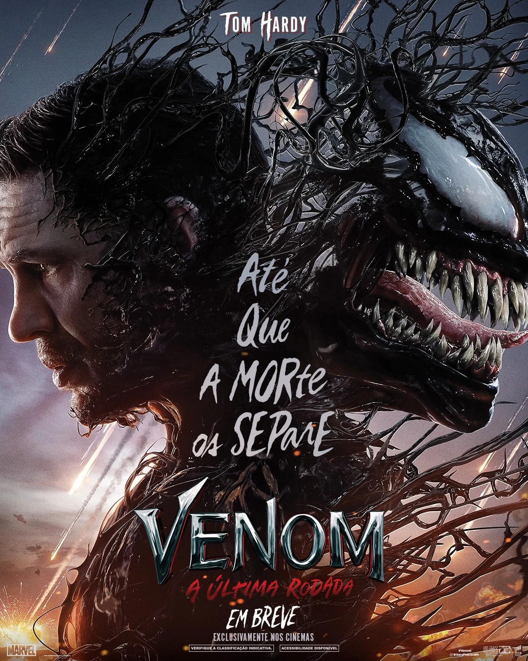 VENOM: A ÚLTIMA RODADA – Shopping Cidade das Flores